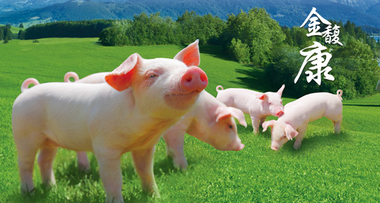 獸藥人的未來(lái)在哪里---請(qǐng)看這里！